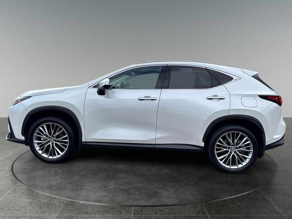 2025 Lexus NX — detail view